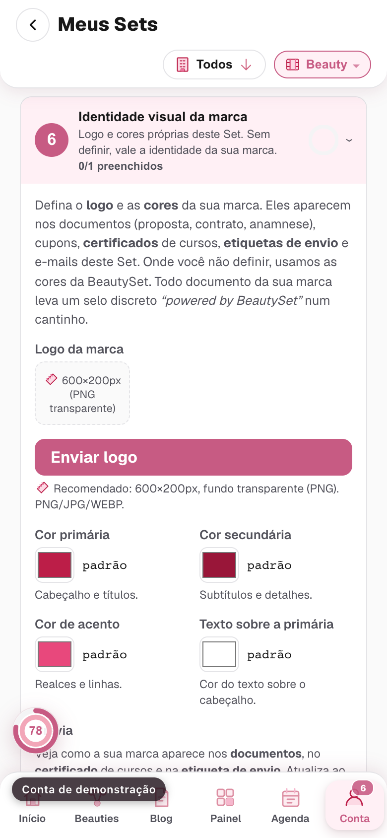 o bloco Identidade visual da marca do Set, com a logo e as cores